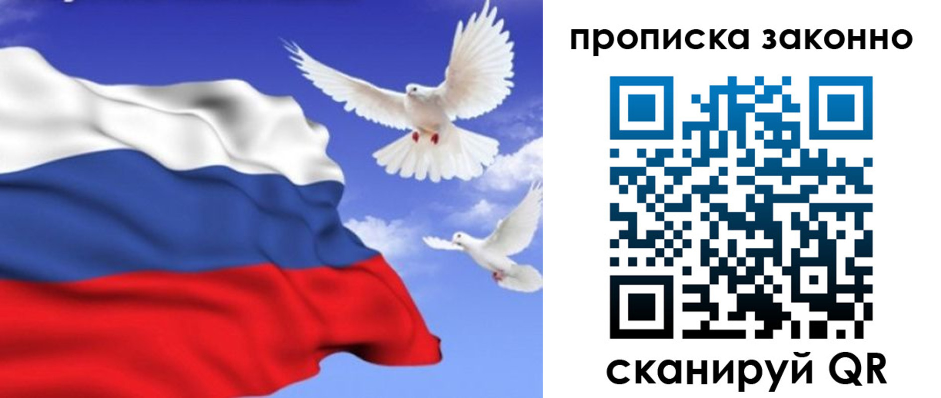 прописка в Киселёвске